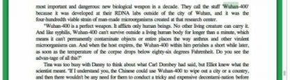 the eyes of darkness (e-Book) | dean koontz :corona-virus 40 years ago 