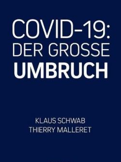 COVID-19: Der Grosse Umbruch (e-booky.com)